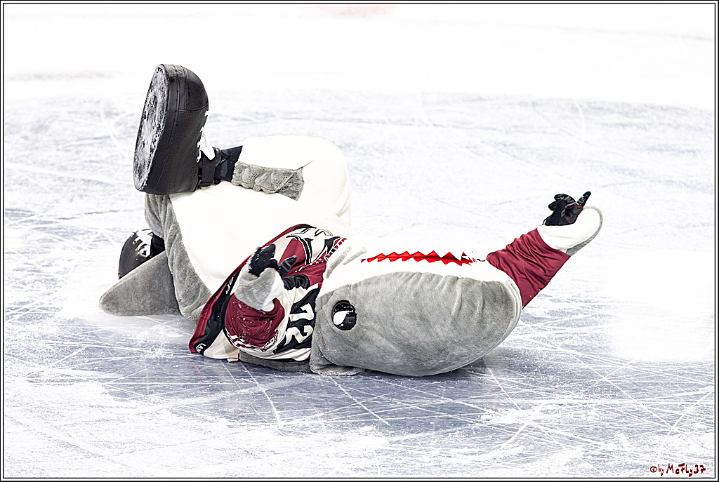 PENNY DEL;  Koelner Haie - Krefeld Pinguine; Koeln, 28.02.2021